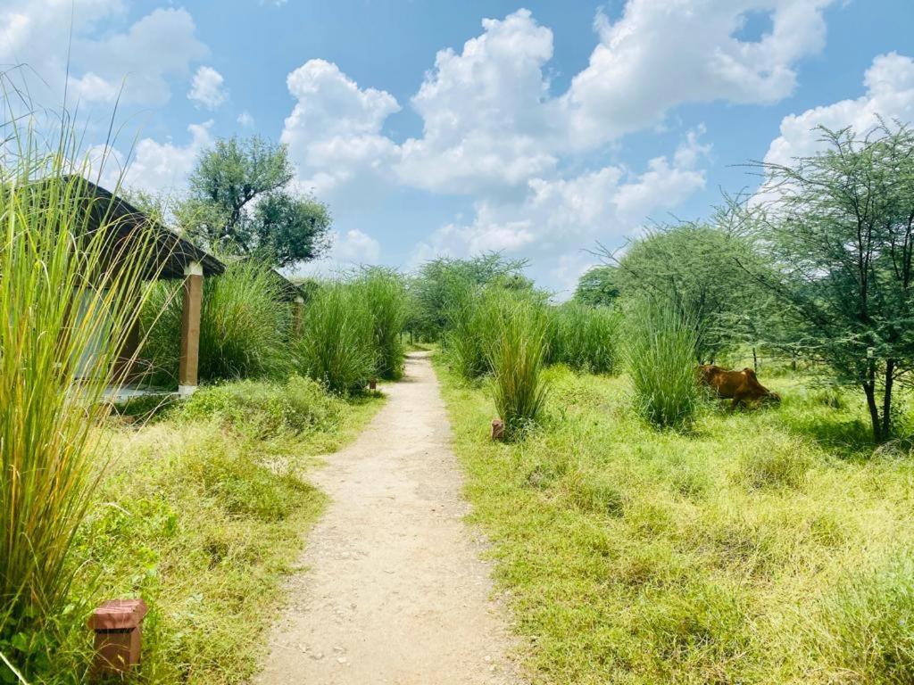Hotel Camp Lands End Pushkar Zewnętrze zdjęcie