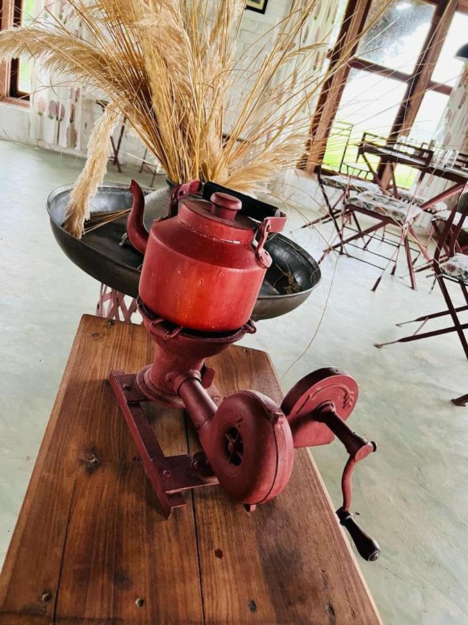 Hotel Camp Lands End Pushkar Zewnętrze zdjęcie