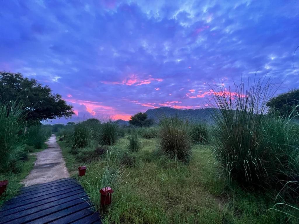 Hotel Camp Lands End Pushkar Zewnętrze zdjęcie